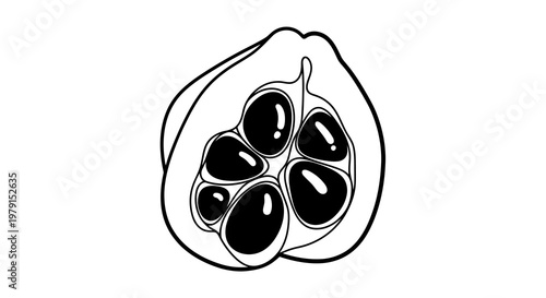 A simple black and white drawing of a fruit cut open to reveal seeds inside.