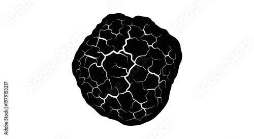 A cracked black object is centered on a white background.