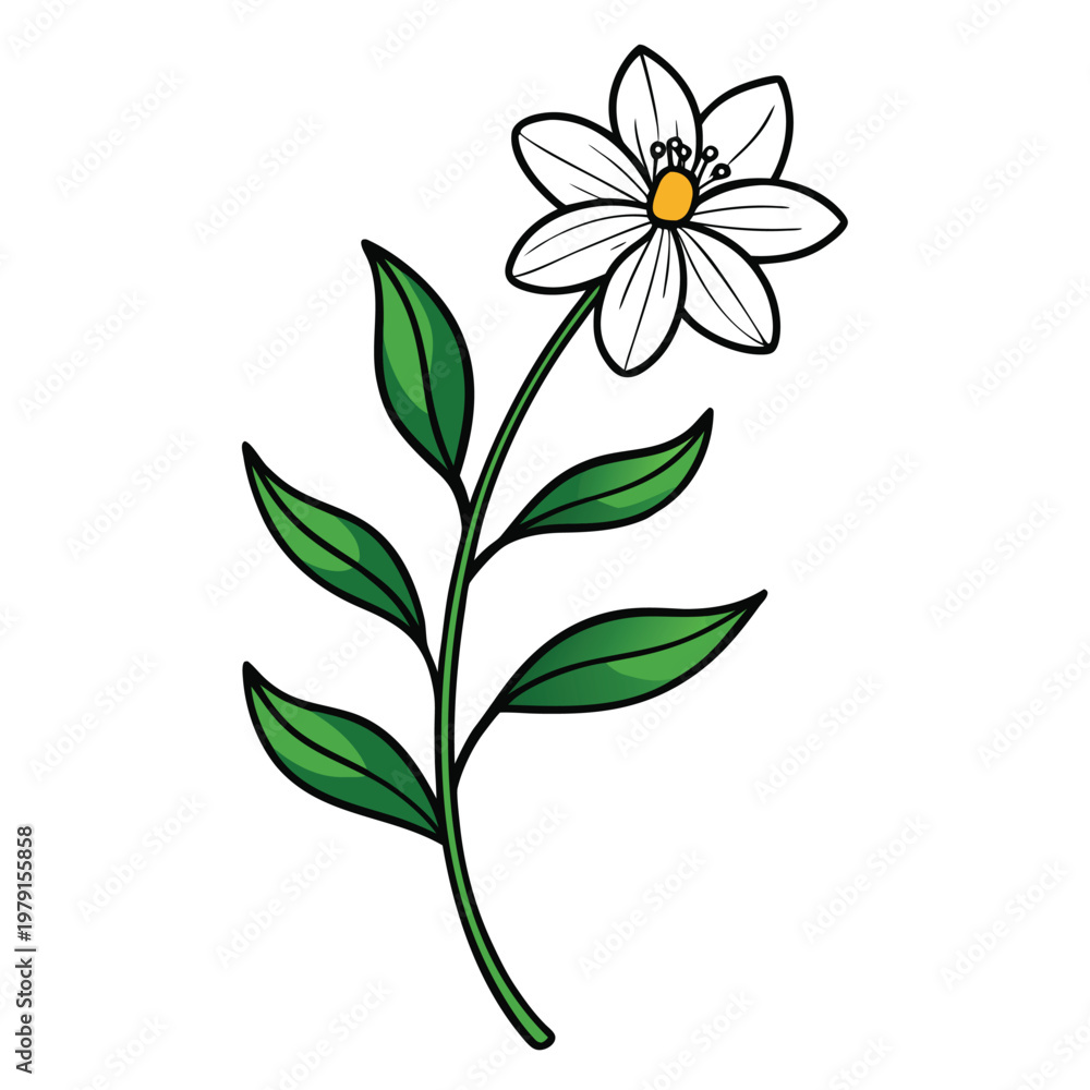 Obraz premium anagallis monelli flower line art on white flower