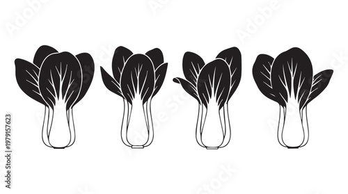 Bok Choy vegetables arranged in a row with clean lines and minimal detail for graphic design applications