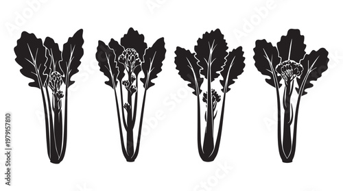 Broccoli Rabe stalks with florets in a clean graphic silhouette against a white background