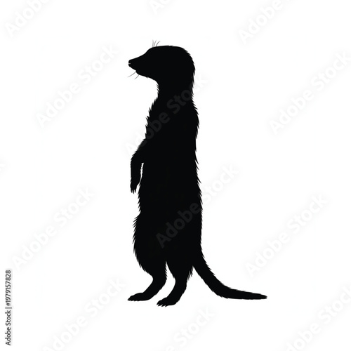 A striking silhouette of a meerkat standing upright on hind legs