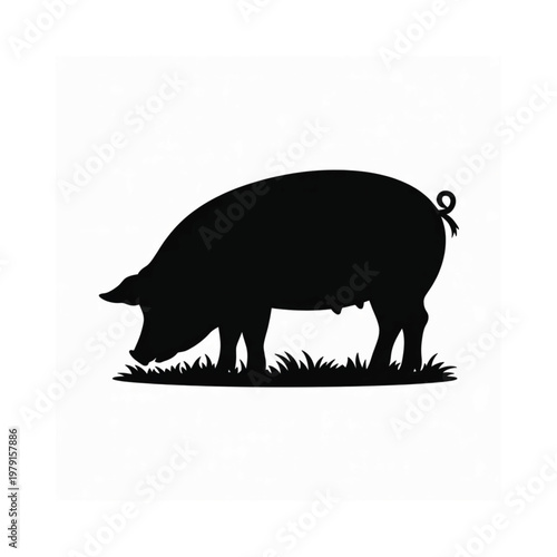 Black silhouette of a pig foraging in grassy field