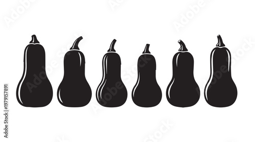 Butternut squash silhouettes lined up in a row on a white background