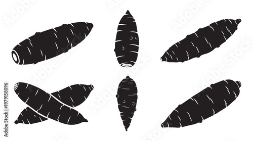 Cassava root silhouettes in multiple perspectives isolated on white background for graphic design