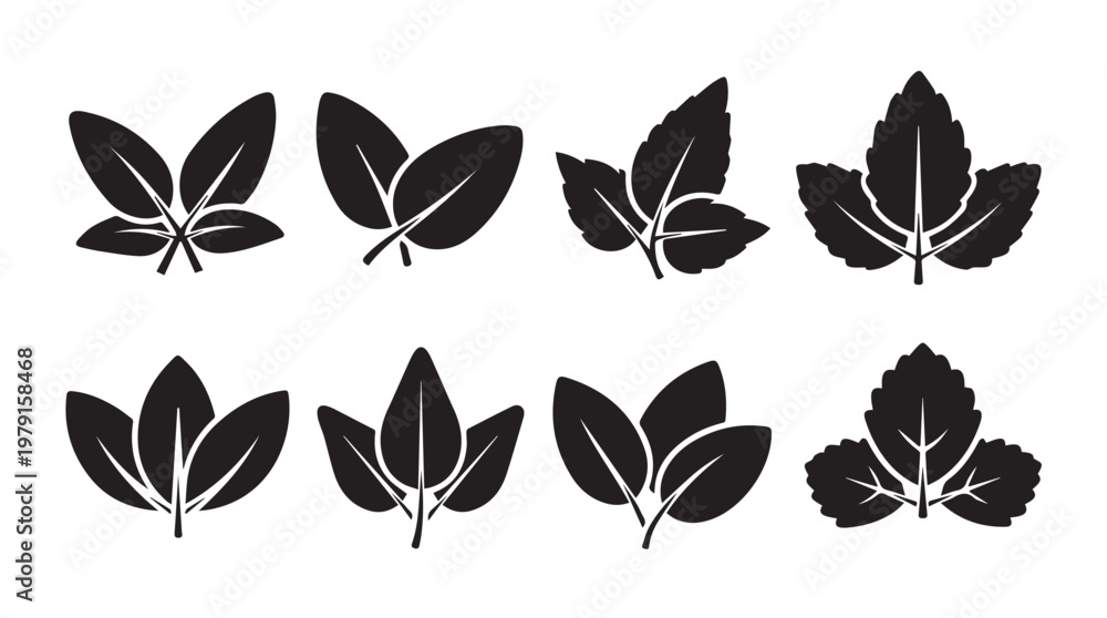 Obraz premium Collection of Black Silhouette Plant Leaves on White Background