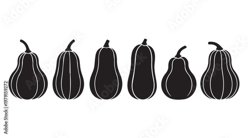 Diverse gourd silhouettes arranged in a row against a clean white background