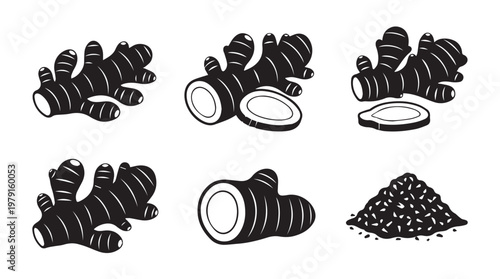 Ginger root and powder illustration set with graphic linework and solid black fill