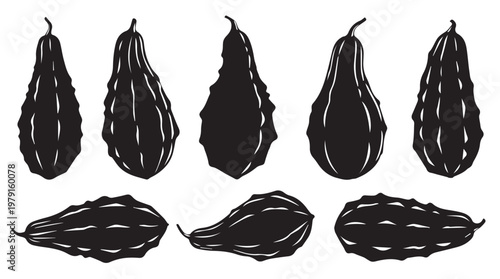 Gourds in silhouette during autumn harvest with decorative patterns