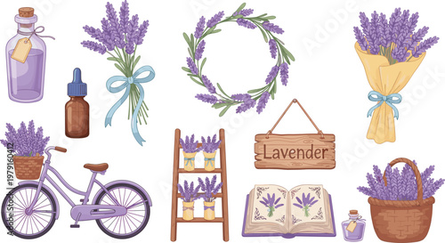 Cartoon lavender in colorful vector illustration of flowers, aroma and decoration