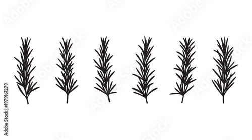 Rosemary sprigs arranged symmetrically in a clean minimalist graphic design