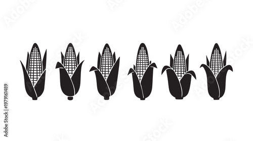 Row of stylized corn cobs in silhouette against white background for agribusiness