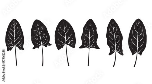 Six black silhouettes of spinach leaves with detailed veins against a white background