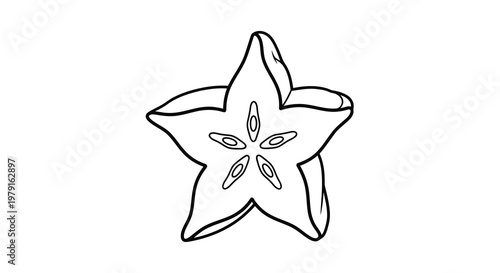 A simple line drawing of a star-shaped fruit cut open to reveal its seeds.