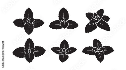 Six stylized black mint leaves arranged in two rows on a white background