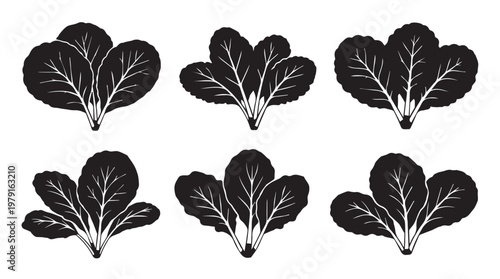 Six stylized black leaf icons with visible veins on a white background in a minimalist vector style