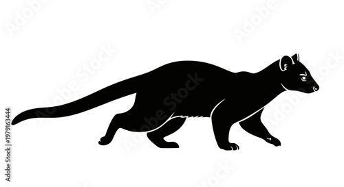A black silhouette of a cat walking with its tail extended behind it.