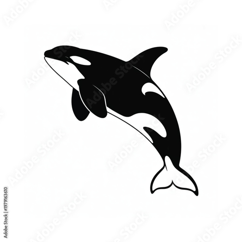 A striking black and white illustration of an orca breaching the surface