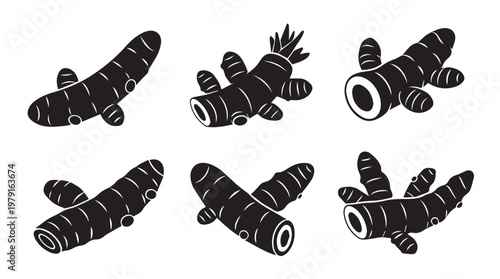 Turmeric root set in simple silhouette against white background