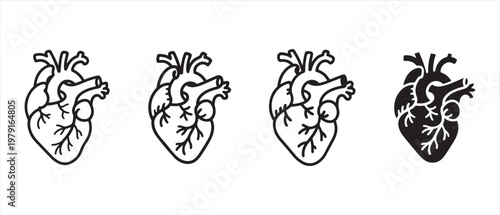 Set of Anatomical Human Heart Icons. in Line Art and Solid Black Styles on White Background for Medical Concepts.