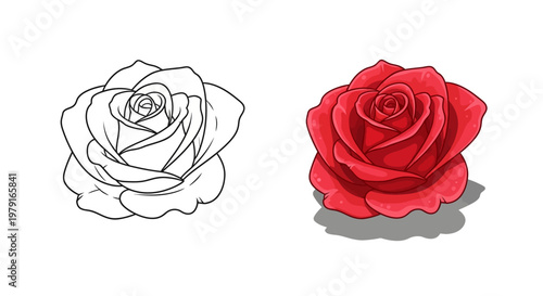 Red Rose Drawing Comparison: Outline vs. Full Color with Shadow