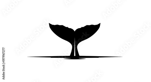 Whale Tail Silhouette Oceanic.