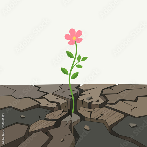 Pink Flower Growing From Cracked Earth Ground Metaphor Of Resilience