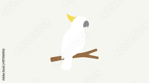 Illustration of a white cockatoo perched on branch.