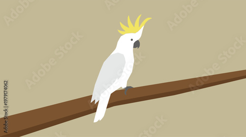 Illustration of a white cockatoo perched on branch.