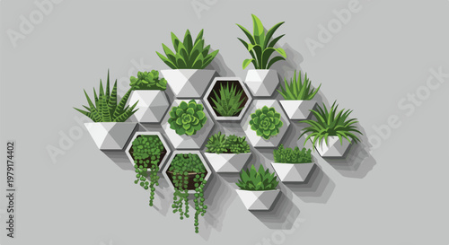 Variety of succulent plants in pots.