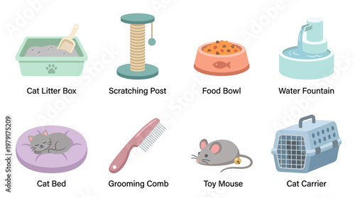 A vector set of various cat accessories laid out on a clean surface including litter box scratching post food bowl water fountain cat bed grooming comb toy mouse and cat carrier
