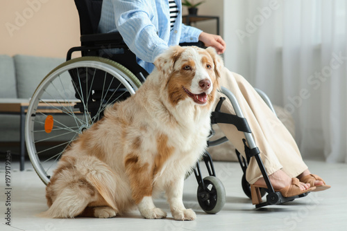 Cute service dog near woman...