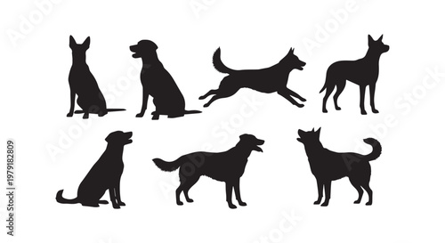 A dynamic black and white illustration of various animals showcasing their unique gaits and movements