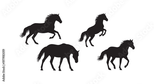 A pair of black geese walking side by side in a natural setting