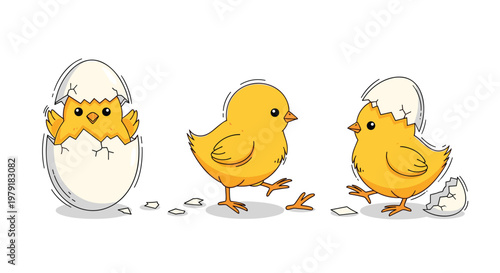 Adorable yellow baby chicks in different stages of hatching from white eggshells isolated on a white background.