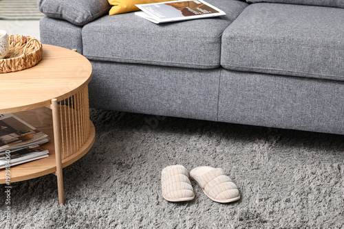 Grey slippers on floor in l...