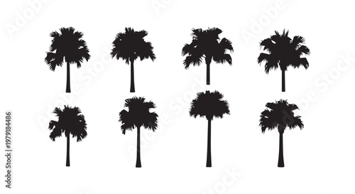 Aerial view of a tropical palm plantation showcasing uniform rows of coconut trees