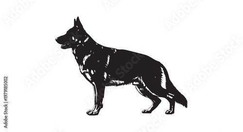 Elegant black horse galloping with a majestic mane flowing in the wind