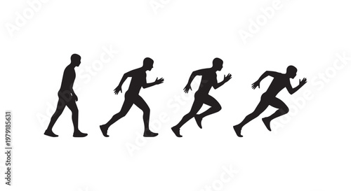 Evolution of human species from early hominids to modern humans depicted in a minimalist line drawing