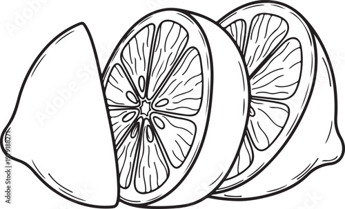Sliced Lemon Fruit Outline Drawing Fresh Citrus Wedge Healthy Food Ingredient Stock Illustration