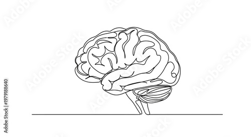 Continuous Line Drawing of Human Brain, Minimalist Medical Illustration