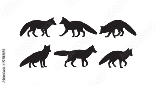 Synchronized movement of a pride of lions in motion captured artistically in black and white