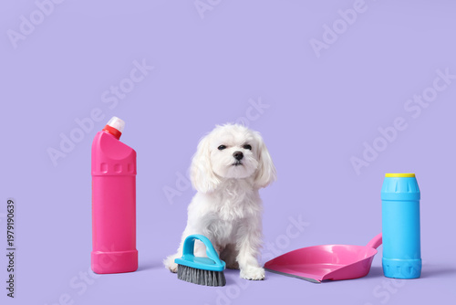 Cute dog with cleaning supp...
