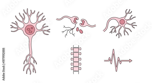 Illustration shows neuron cells and neural connections with electrical signals