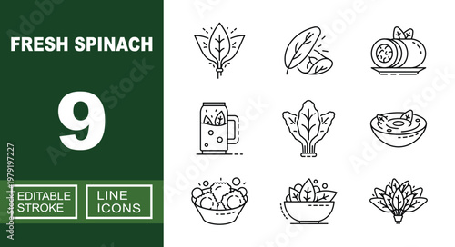 Fresh Spinach set of web icons in line style. Containing Leaf, Spinach, Roll, Juice, Vegetable, Soup, Salad, Bowl, Plant, Food, Drink, Plate, Healthy, Nature, Harvest and more. Editable stroke icons 