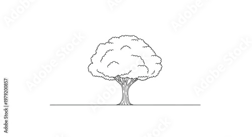 Simple Tree with Lush Canopy Outline Illustration, Nature and Ecology Concept