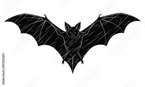 Vintage engraving of a bat in flight a spooky halloween illustration