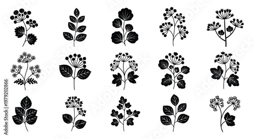 A collection of various plant silhouettes