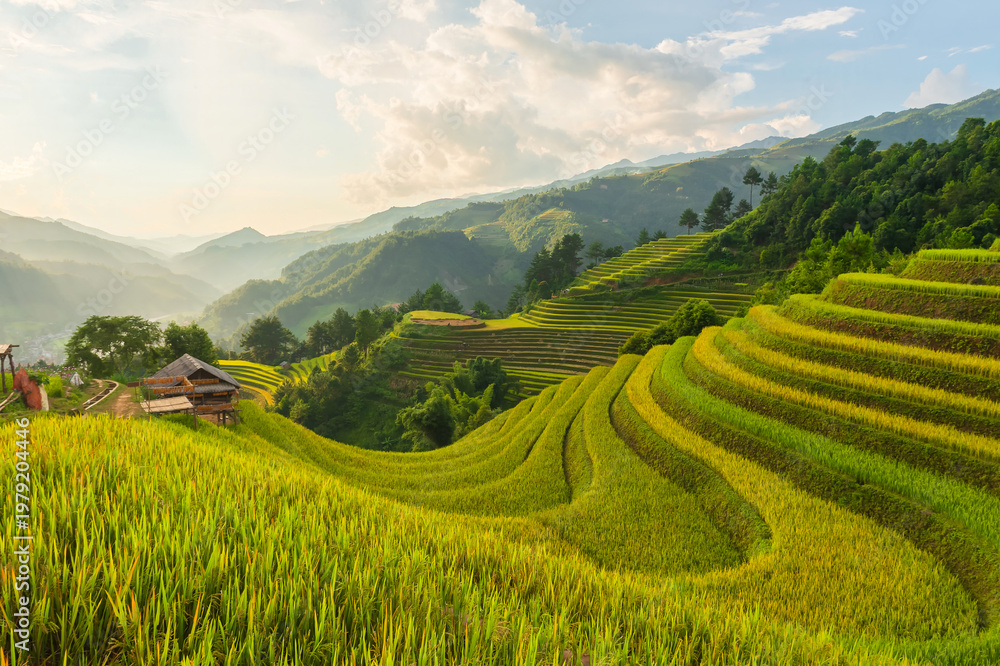 Obraz premium Natural and urban views of Vietnam