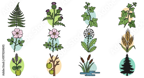 Botanical Illustrations: Assorted Plants, Flowers, and Herbs Collection